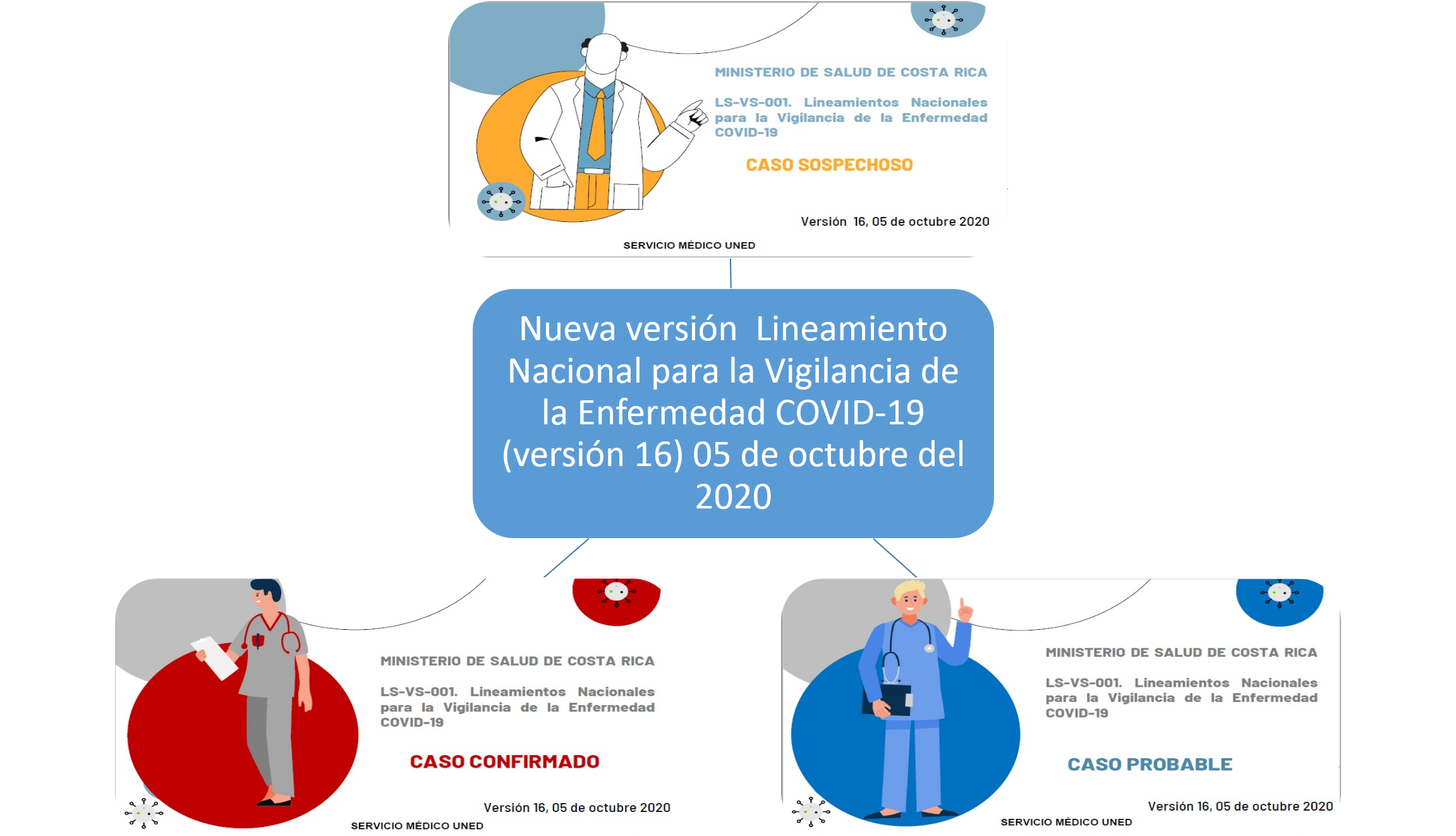 lineamientos
