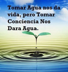 cuida el agua 14