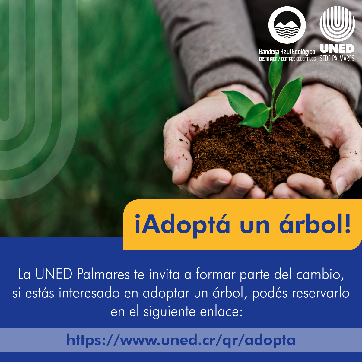 Adoptá un árbol