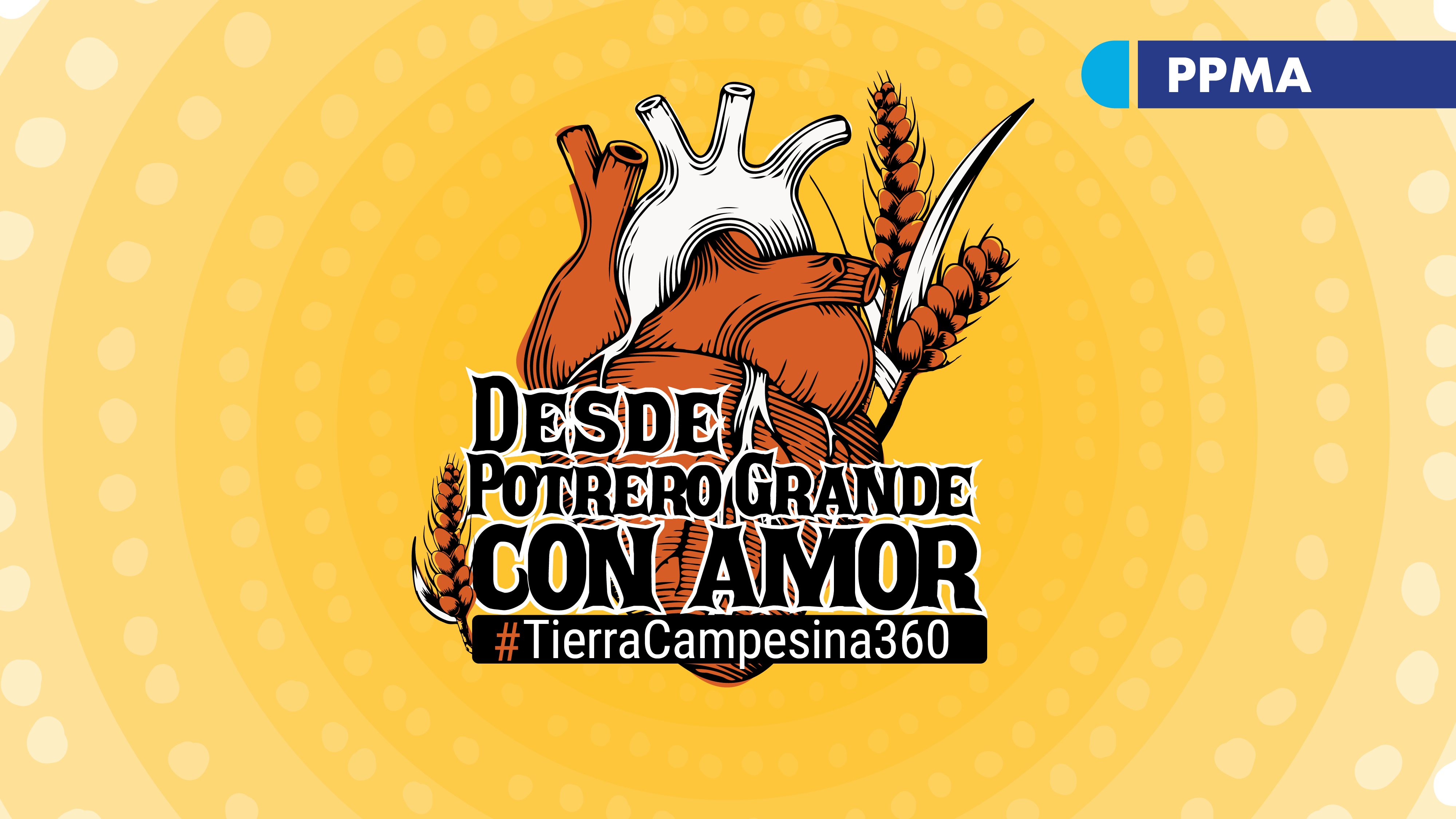 Banner Potrero grande