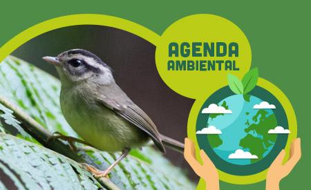imagen de Ecoacústica y Bioacústica: Aplicación para el monitoreo de la biodiversidad