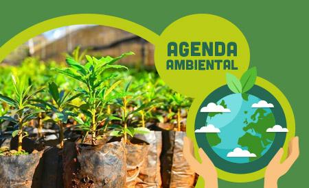 imagen de Taller plantas aleopáticas