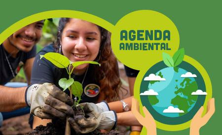 imagen de Curso Fundamentos de Educación Ambiental: De la sensibilización a la acción