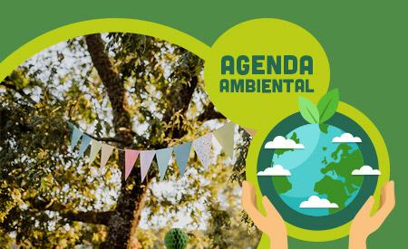 imagen de Feria Ambiental Monteverde Libre de Humo