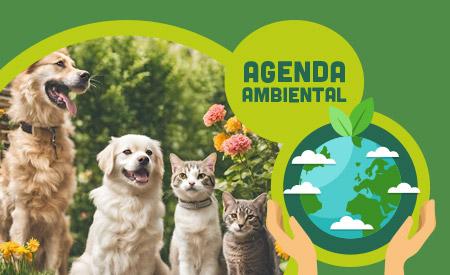 imagen de Charlas y campaña castración de mascotas en Islas: Caballo y Venado